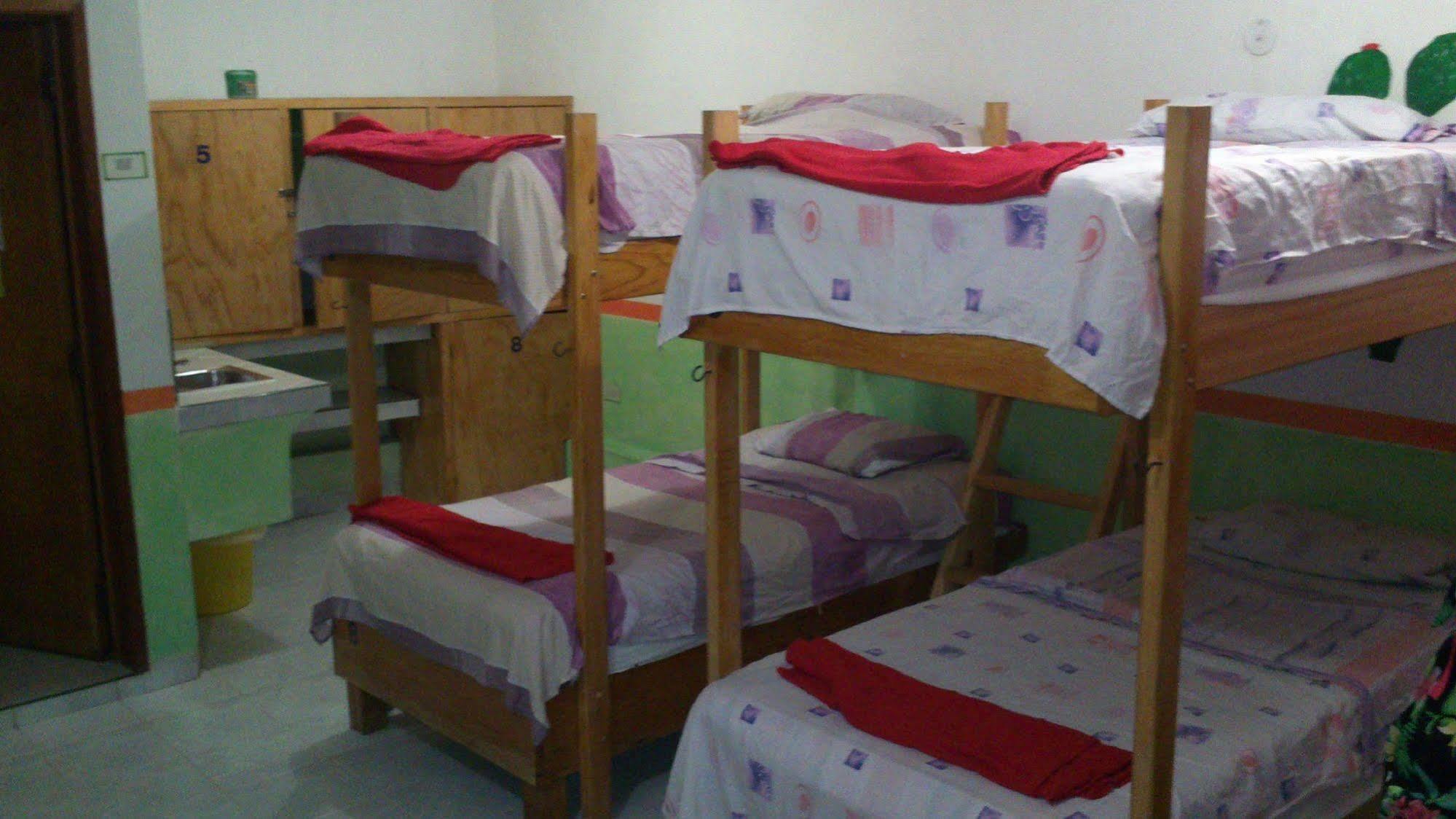 Amigos Hostel Cozumel Camas de albergue foto